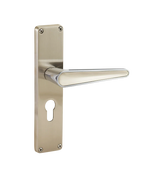 Godrej NEH 19 200 mm Door Handle Set 2C