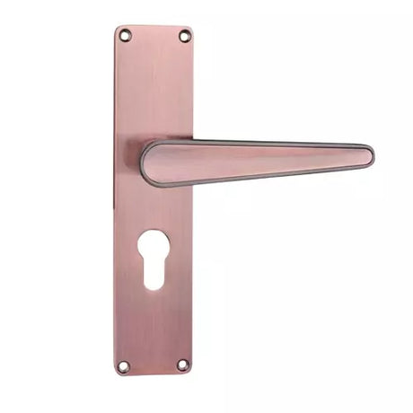 Godrej NEH 19 240 mm Door Handle Set 2C