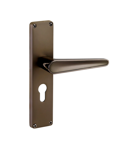 Godrej NEH 19 240 mm Door Handle Set 2C