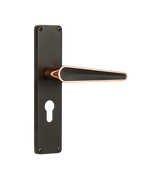 Godrej NEH 19 240 mm Door Handle Set 2C