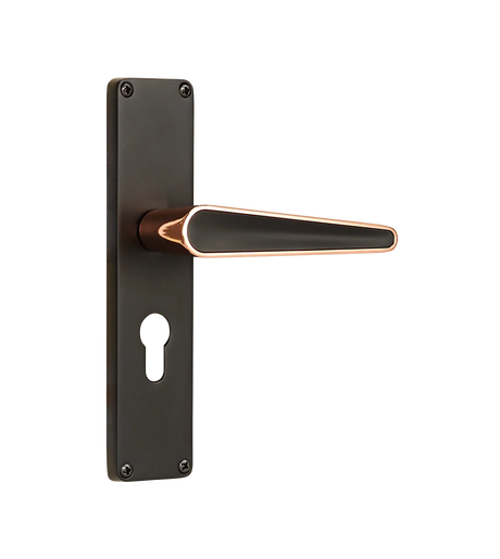 Godrej NEH 19 240 mm Door Handle Set 2C