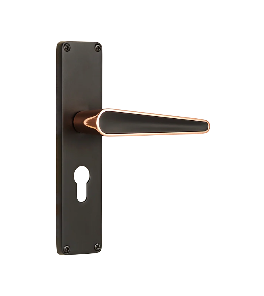 Godrej NEH 19 240 mm Door Handle Set 2C