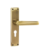 Godrej NEH 20 200 mm Door Handle Set 2C