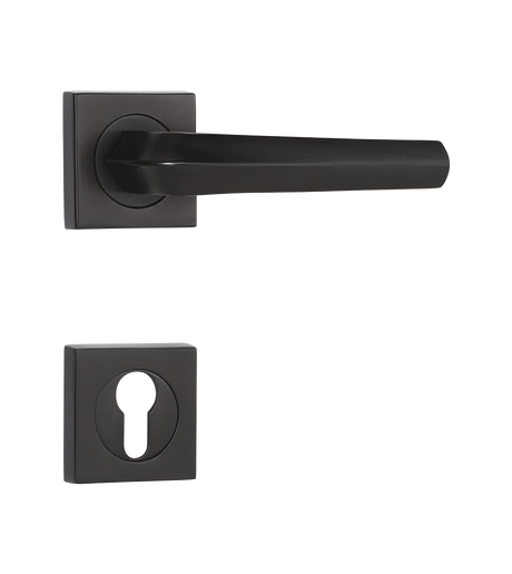 Godrej NEH 20 Baby Latch Handle set