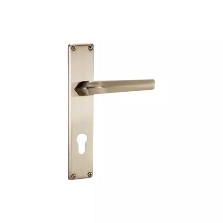 Godrej NEH 20 200 mm Door Handle Set 2C