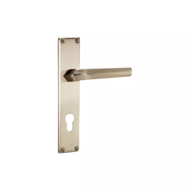 Godrej NEH 20 200 mm Door Handle Set 2C