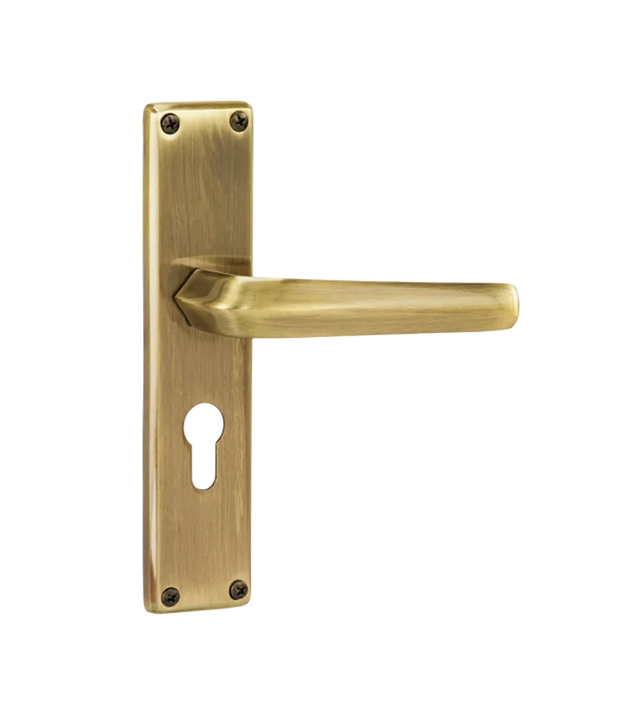 Godrej NEH 20 240 mm Door Handle Set 2C