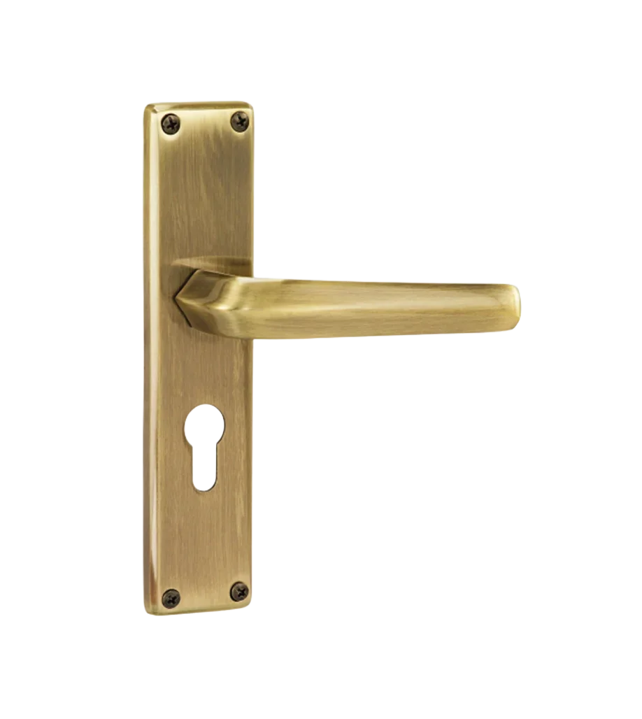 Godrej NEH 20 240 mm Door Handle Set 2C
