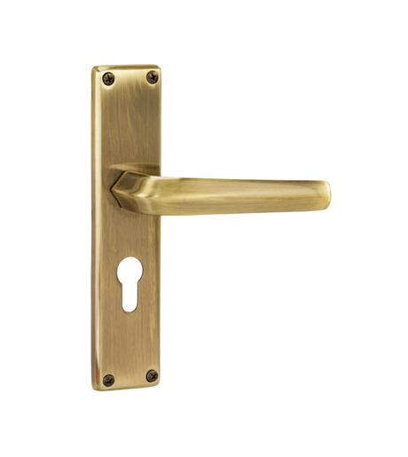 Godrej NEH 20 240 mm Door Handle Set 2C