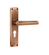 Godrej NEH 20 240 mm Door Handle Set 2C
