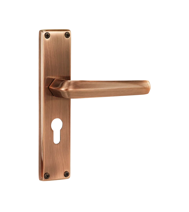 Godrej NEH 20 240 mm Door Handle Set 2C
