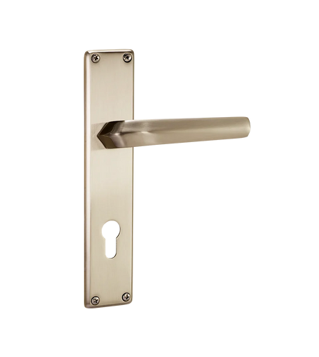 Godrej NEH 20 240 mm Door Handle Set 2C