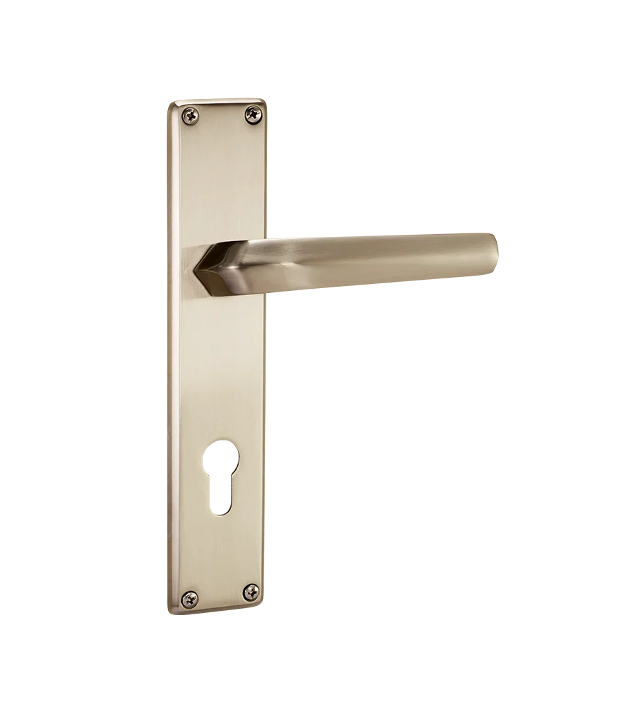 Godrej NEH 20 240 mm Door Handle Set 2C