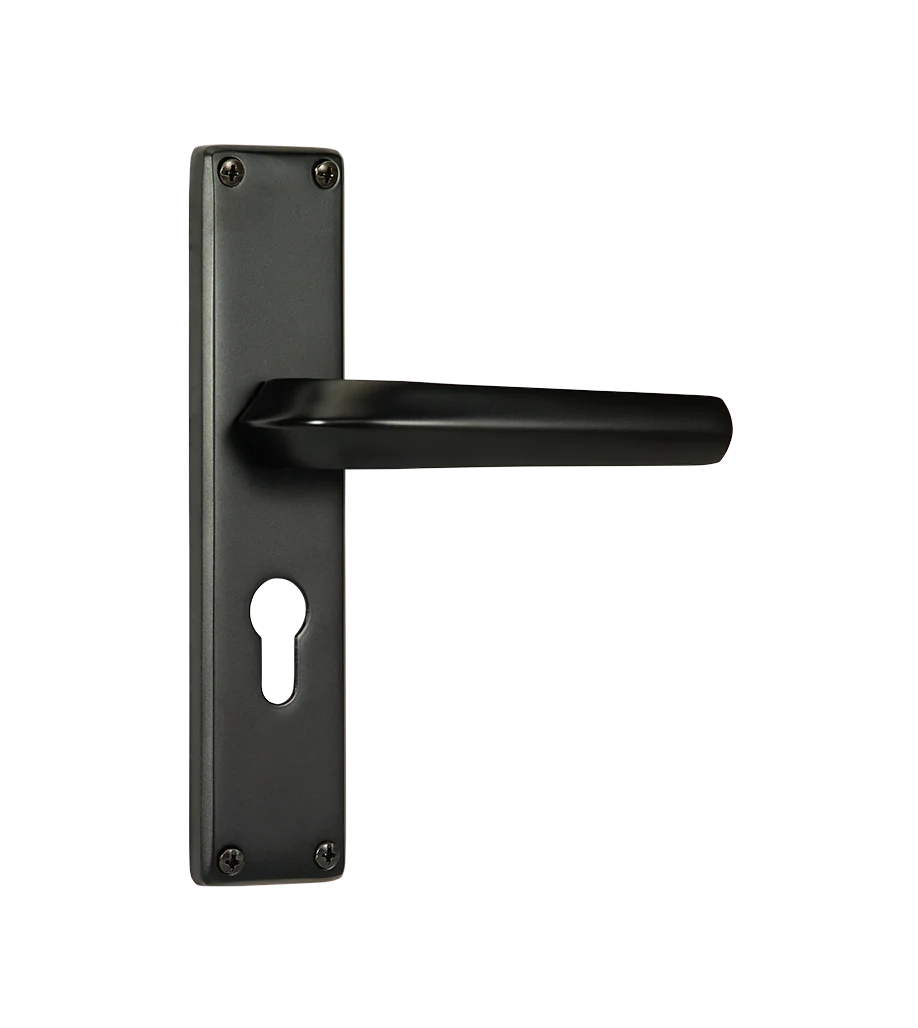 Godrej NEH 20 240 mm Door Handle Set 2C