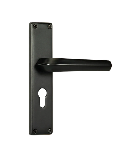 Godrej NEH 20 240 mm Door Handle Set 2C