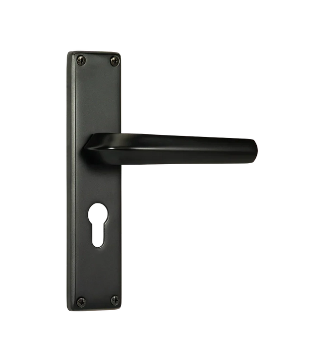 Godrej NEH 20 240 mm Door Handle Set 2C