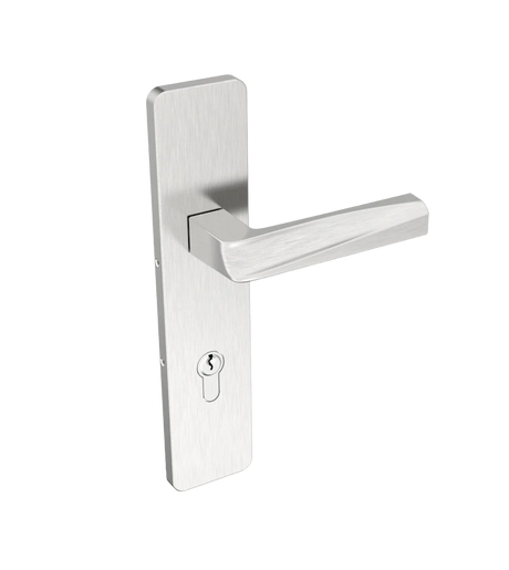 Godrej Ugo 250 mm Euro Modern Plate Door Handle