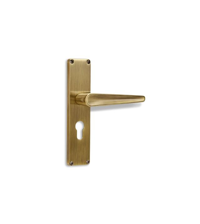 Godrej NEH 19 200 mm Door Handle Set 2C