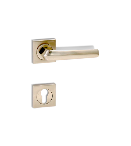 Godrej NEH 20 200 mm Door Handle Set 2C