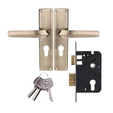 Godrej NEH20 200mm Handle & Lock Combo Satin Steel
