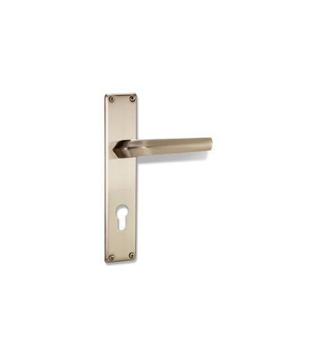 Godrej NEH 20 240 mm Handle & Lock Combo