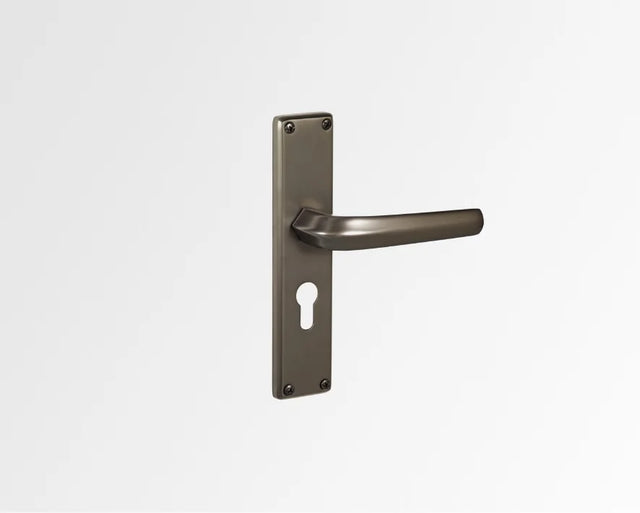 Godrej NEH 20 240 mm Door Handle Set 2C