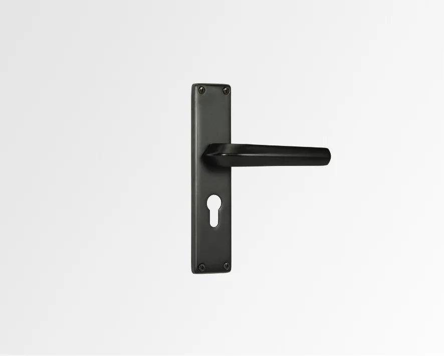 Godrej NEH20 240mm Handle & Lock Combo Satin Steel