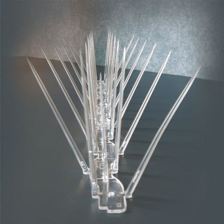 Clear plastic bird spikes on a dark background