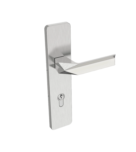 Metal door handle on a white background