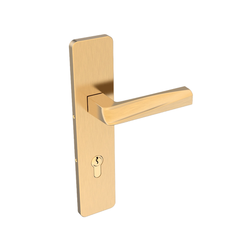 Gold door handle on a white background